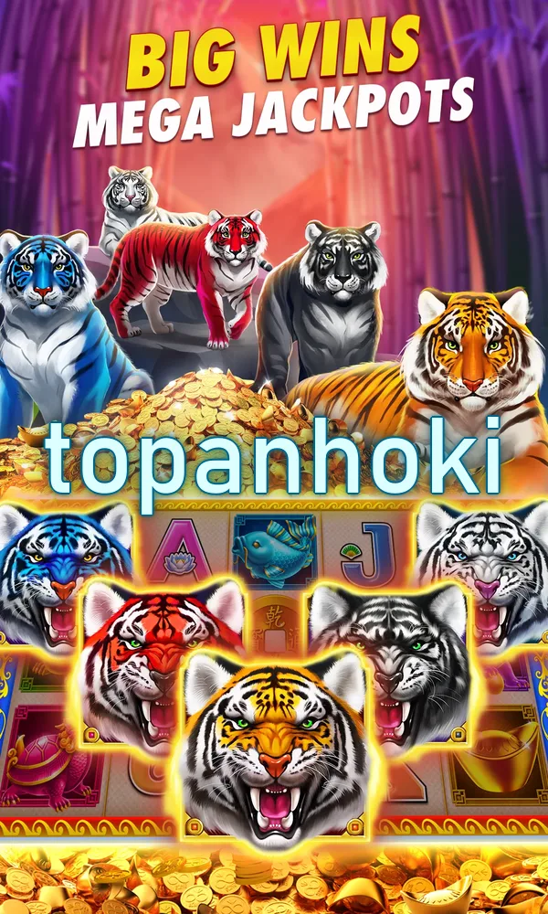 topanhoki Tangkapan Layar 3